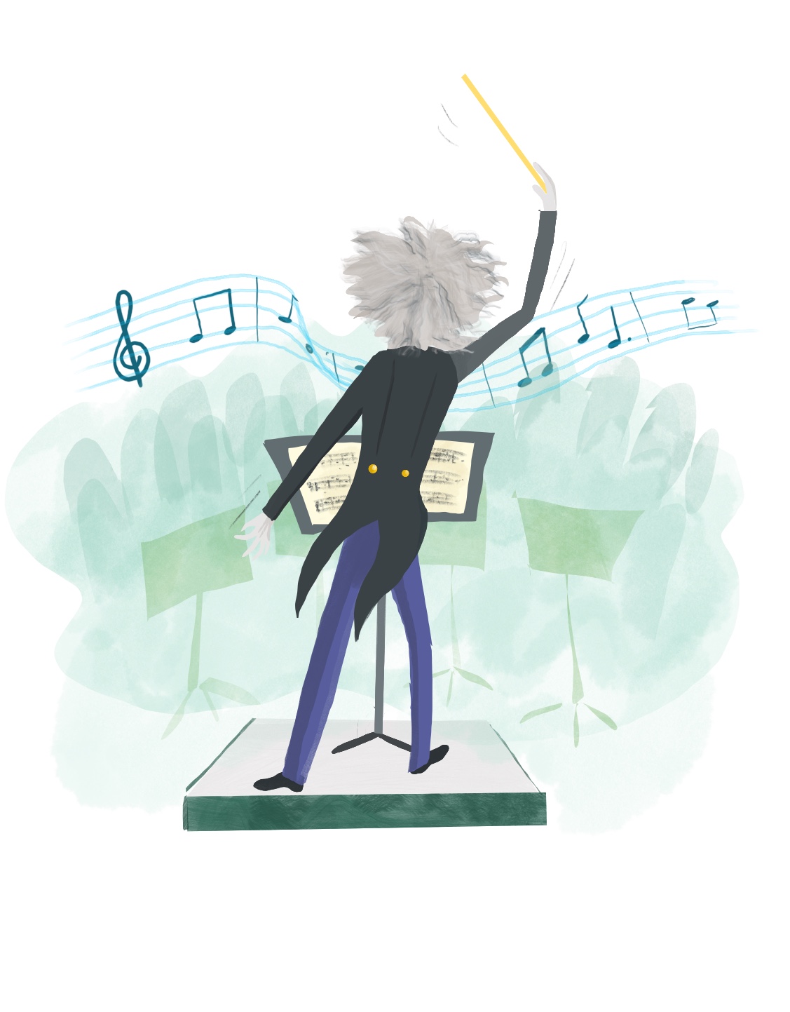 Drawing of the back of a conductor